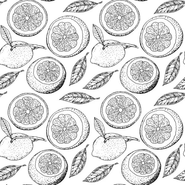 Elle çizilmiş limon ve yaprakları ile dikişsiz desen. Narenciye siyah beyaz arka plan. Vektör çizimi. 