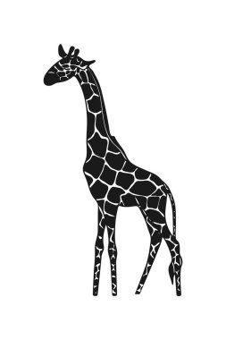 Vektör çizilmiş zürafa simgesi. Beyaz arka planda Afrika vahşi hayvan.
