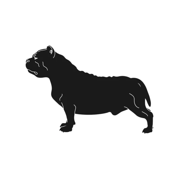 Dog Breed American Bully White Background Vector Illustration — Stock Vector