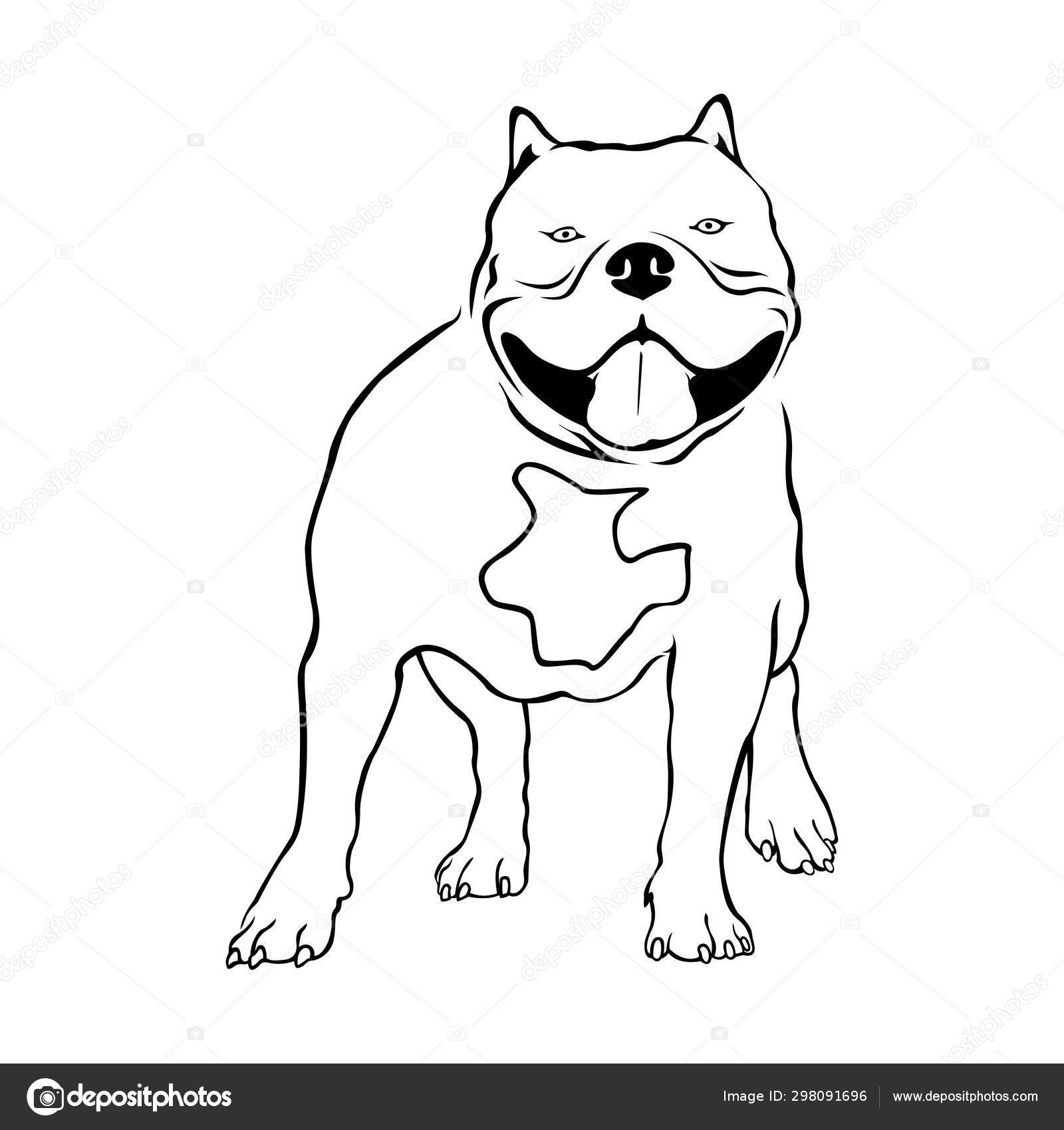 American bully Vector Art Stock Images | Depositphotos