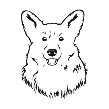 Galler Corgi Pembroke portre. Corgi köpek logosu. Vektör çizimi.