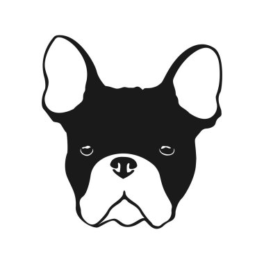 Fransız bulldog logosu. Köpeğin başı beyaz bir arka planda izole edilmiş Fransız bulldog cinsi..