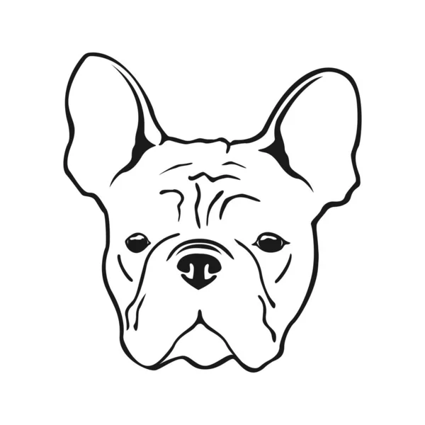 Francese Bulldog Faccia Cane Francese Bulldog Cane Logo — Vettoriale Stock