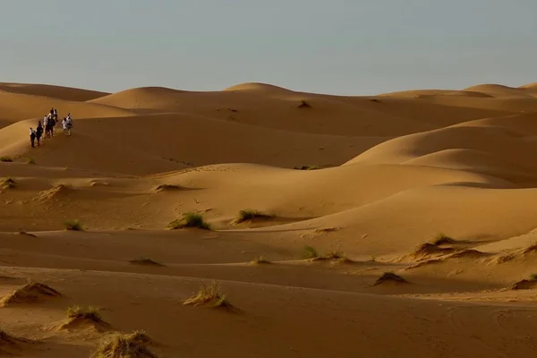 Gün Batımı Zaman Erg Shebby Fas Dunes — Stok fotoğraf