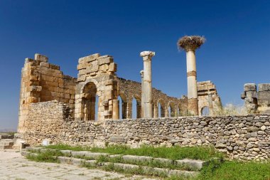       Büyük leylek yuva antika Roma şehri, Fas Harabeleri sütununun tepesinde.                                                    