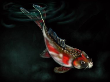 Koi balığı su altında el çizilmiş dijital görüntü. Siyah arka plan.