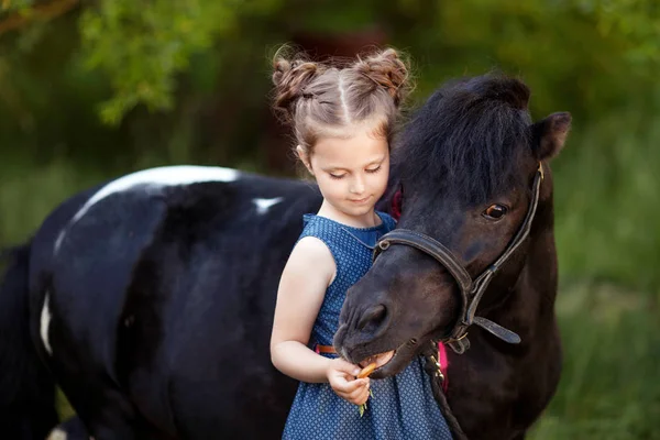 Sevimli küçük kız ve güzel bir parkta midilli