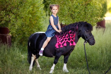 Sevimli küçük kız ve güzel bir parkta midilli