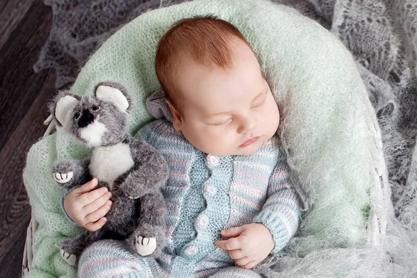 Sweet Newborn Baby Sleeps Basket Beautiful Newborn Boy Bear Toy — Stock Photo, Image