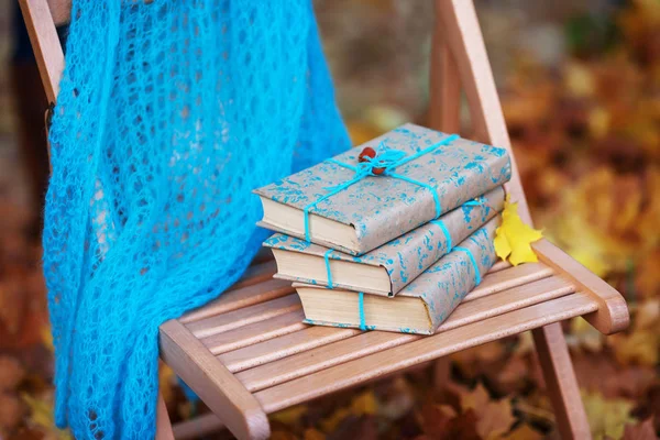 Stapel Boeken Vergeten Een Stoel Park — Stockfoto