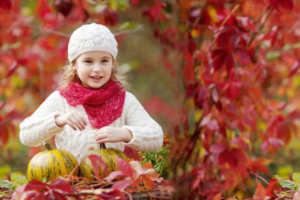 秋の公園でカボチャで遊ぶかわいい女の子 子供たちの秋の活動 家族のため ハロウィーンやサンクスギビングの時間楽しみ — ストック写真