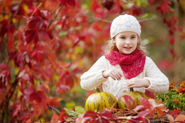 秋の公園でカボチャで遊ぶかわいい女の子 子供たちの秋の活動 家族のため ハロウィーンやサンクスギビングの時間楽しみ — ストック写真