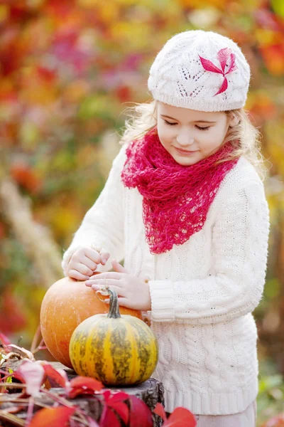 秋の公園でカボチャで遊ぶかわいい女の子 子供たちの秋の活動 家族のため ハロウィーンやサンクスギビングの時間楽しみ — ストック写真