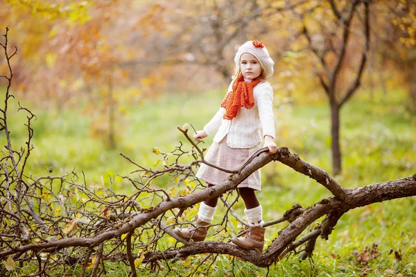 森の美しい秋の日の屋外で愛らしい少女 子供のための秋の活動 — ストック写真