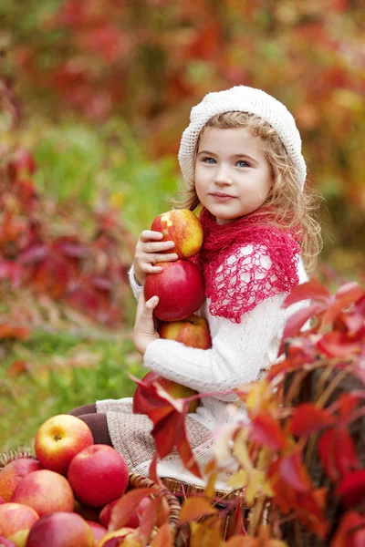 Beautiful little girl holding apples in the autumn garden. . Little girl playing in apple tree orchard. Toddler eating fruits at fall harvest. Outdoor fun for children. Healthy nutrition