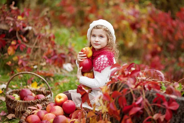 Beautiful little girl holding apples in the autumn garden. . Little girl playing in apple tree orchard. Toddler eating fruits at fall harvest. Outdoor fun for children. Healthy nutrition