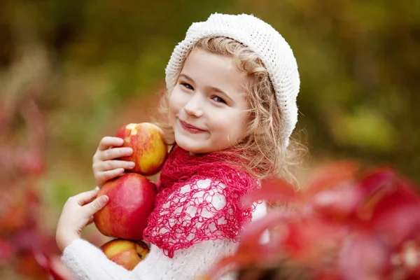 Beautiful little girl holding apples in the autumn garden. . Little girl playing in apple tree orchard. Toddler eating fruits at fall harvest. Outdoor fun for children. Healthy nutrition