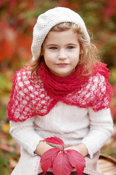小さな女の子の秋の肖像画 秋の公園で赤ぶどうの葉でかわいい女の子 子供たちの秋の活動 家族のため ハロウィーンやサンクスギビングの時間楽しみ — ストック写真
