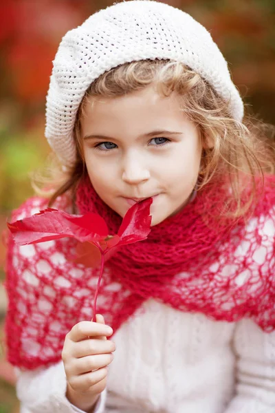 Herbstporträt Eines Kleinen Mädchens Hübsches Kleines Mädchen Mit Roten Traubenblättern — Stockfoto