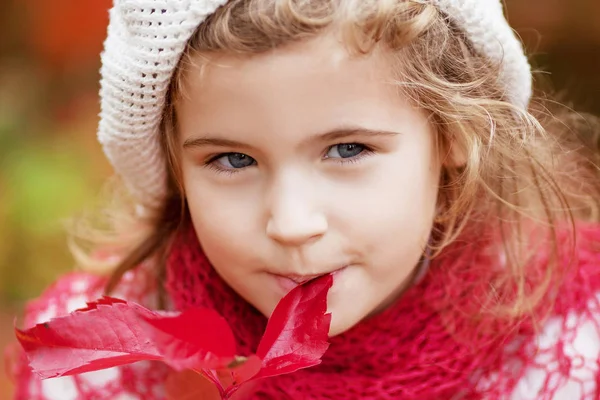 Kislány Őszi Portréja Szép Kislány Piros Szőlő Levelek Őszi Parkban — Stock Fotó
