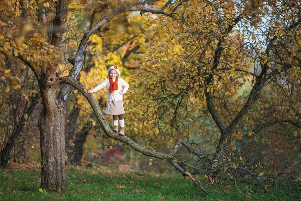 Entzückendes Kleines Mädchen Freien Einem Schönen Herbsttag Wald Herbstaktivitäten Für — Stockfoto