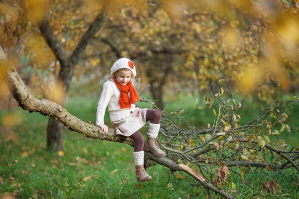 Urocza Mała Dziewczynka Zewnątrz Piękny Jesienny Dzień Lesie Jesienne Zabawy — Zdjęcie stockowe