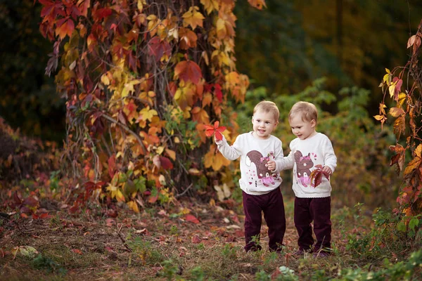 双子の女の子の秋の感情的な肖像画 赤ぶどうの葉秋の公園でかわいい女の子 子供たちの秋の活動 家族のため ハロウィーンやサンクスギビングの時間楽しみ — ストック写真