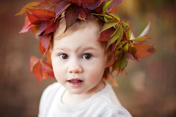 Осінь Близькі Портрет Маленькою Дівчинкою Гарненька Дівчинка Червоного Виноградного Листя — стокове фото