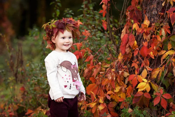 小さな女の子の秋の感情的な肖像画 秋の公園で赤ぶどうの葉でかわいい女の子 子供たちの秋の活動 家族のため ハロウィーンやサンクスギビングの時間楽しみ — ストック写真