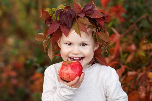 Beautiful little girl holding apples in the autumn garden. . Little girl playing with apples. Toddler eating fruits at fall harvest. Healthy nutrition.  Autumn activities for children. Halloween and Thanksgiving time fun for family.