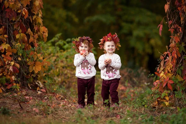 美しい小さな双子の女の子秋の庭のリンゴを保持しています リンゴで遊ぶ小さな女の子 幼児食果実は落下収穫です 健康的な栄養 子供たちの秋の活動 家族のため ハロウィーンやサンクスギビングの時間楽しみ — ストック写真