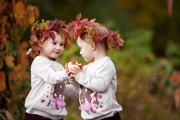 美丽的小双胞胎女孩在秋季花园里捧着苹果 小女孩玩苹果 婴儿在秋季收割时吃水果 健康的营养 儿童秋季活动 万圣节和感恩节的家庭乐趣 — 图库照片
