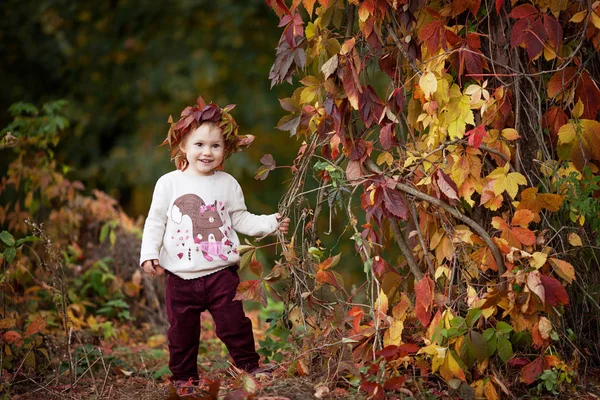 小さな女の子の秋の感情的な肖像画 秋の公園で赤ぶどうの葉でかわいい女の子 子供たちの秋の活動 家族のため ハロウィーンやサンクスギビングの時間楽しみ — ストック写真