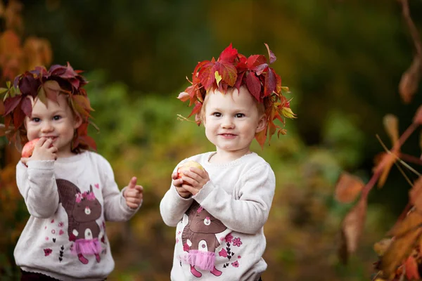 美しい小さな双子の女の子秋の庭のリンゴを保持しています 幼児食果実は落下収穫です 健康的な栄養 子供たちの秋の活動 ハロウィーンやサンクスギビング — ストック写真