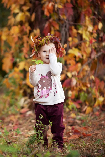 小さな女の子の秋の肖像画 秋の公園で赤ぶどうの葉でかわいい女の子 子供たちの秋の活動 家族のため ハロウィーンやサンクスギビングの時間楽しみ — ストック写真