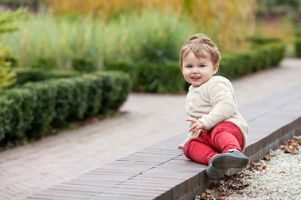 Маленький Улыбающийся Мальчик Гуляет Парку Милый Ребенок Улыбается Радуется Мероприятия — стоковое фото
