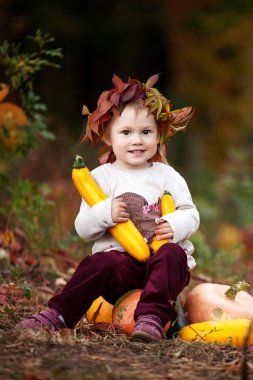 Sebze iliği Sonbahar Park ile oynayan sevimli küçük kız. Çocuklar için sonbahar aktivitelere. Aile için Cadılar Bayramı ve Şükran zaman eğlenceli. Kopya alanı