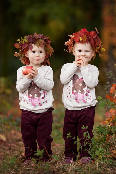 美丽的小双胞胎女孩在秋季花园里捧着苹果 婴儿在秋季收割时吃水果 健康的营养 儿童秋季活动 万圣节和感恩节时间 — 图库照片