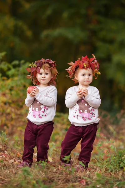 Mooie Kleine Twin Meisjes Houden Van Appels Herfst Tuin Peuter — Stockfoto