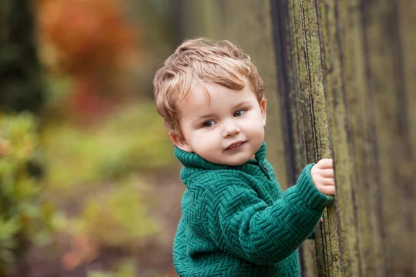 Roztomilý Chlapeček Parku Zavřete Obrázek Lovelyl Mrňavá Chlapce Podzimní Zahradě — Stock fotografie