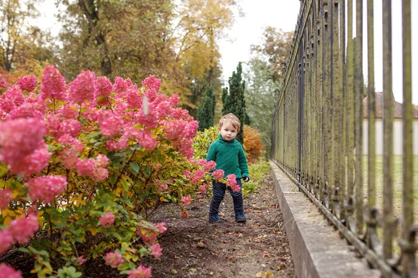 Kleiner Netter Junge Park Schöner Kleiner Junge Herbstlichen Garten Aktivitäten — Stockfoto