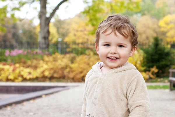 Malý Usměvavý Chlapec Hraje Parku Krásný Kluk Usměje Radost Outdoorové — Stock fotografie