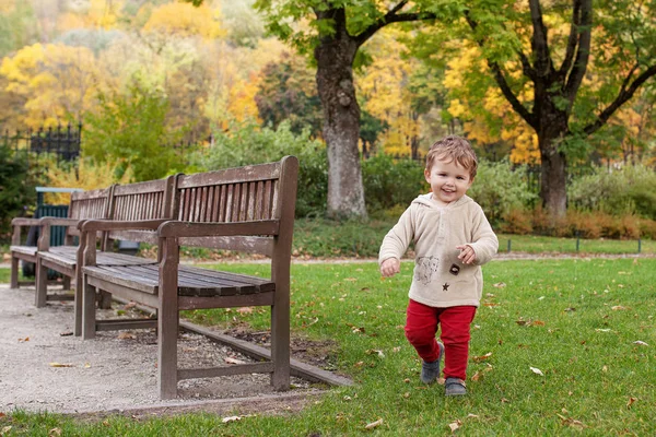 Kleiner Lächelnder Junge Beim Spielen Park Liebliches Kind Lächelt Und — Stockfoto