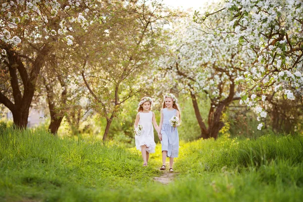 Красиві Молоді Дівчата Довгих Сукнях Саду Квітучими Яблуками Усміхнені Дівчата — стокове фото