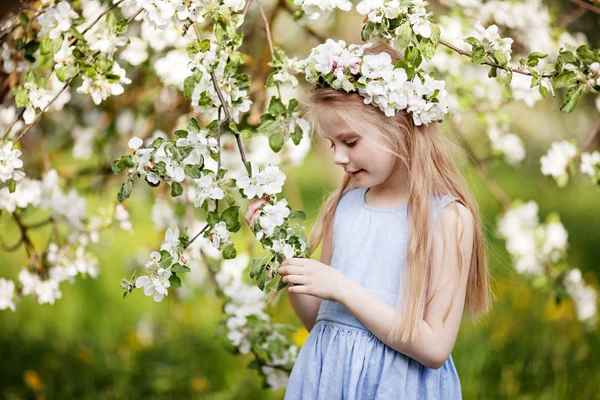 Belle Jeune Fille Robe Bleue Dans Jardin Avec Des Pommiers — Photo