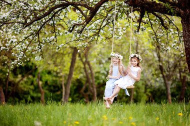 İki sevimli kız çiçek açması eski elma ağacı bahçede bir salıncak üzerinde eğleniyor. Güneşli bir gün. Çocuklar için bahar açık hava etkinlikleri