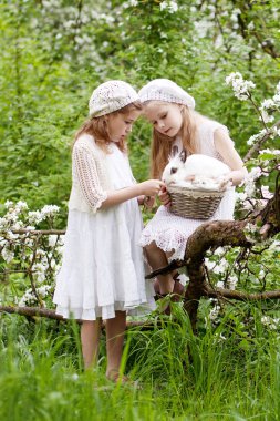 Bahar çiçeği bahçe beyaz tavşan oynayan iki güzel genç kızlar. Bahar eğlenceli aktivite çocuklar için. Paskalya zamanı