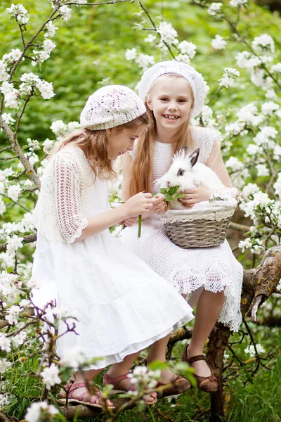 春の花の庭に白いウサギと遊ぶ つの美しい少女 春の楽しい子供のための活動 イースターの時期 — ストック写真