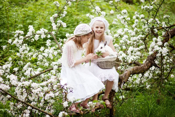 春の花の庭に白いウサギと遊ぶ つの美しい少女 春の楽しい子供のための活動 イースターの時期 — ストック写真