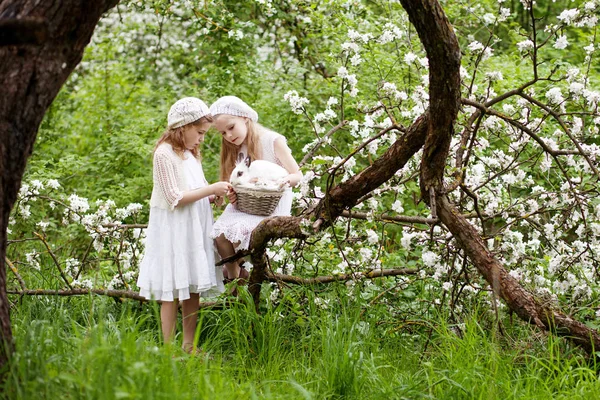 两个美丽的年轻女孩在春天的花丛中玩白兔 为孩子们准备了春季有趣的活动 复活节时间 — 图库照片